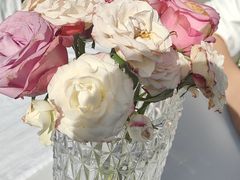 -gogo·Thai泰西餐厅