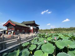 -济南大明湖景区