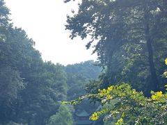 -岳麓山风景名胜区