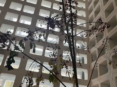 -扫雪煮茶(西村店)
