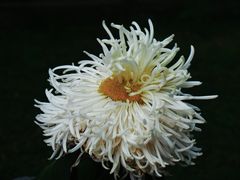 -北京植物园-展览温室