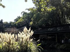 -三苏祠
