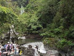 -石台牯牛降景区
