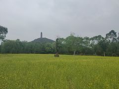 -北坞公园