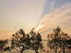 -宝安西湾红树林湿地公园