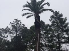 iphone_upload_pic-美兰湖景区