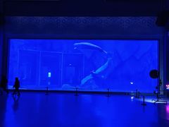 -上海海昌海洋公园-冰山北极馆