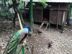 -藏龙百瀑风景区