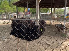 -意大利农场度假村