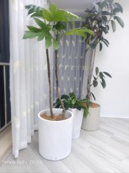 -HEYAN荷妍专业脱毛连锁机构
