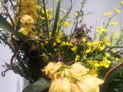 -深圳国际园林花卉博览园