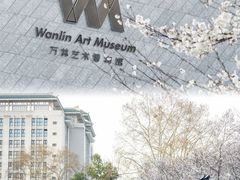 -武汉大学-樱园