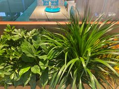 -半天妖烤鱼(丰科万达店)