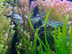 -上海海洋水族馆