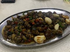 炒田螺-广宁炭炉鸡煲·富临门饭店