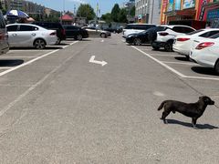 -大星发农发地农副产品批发市场-停车场