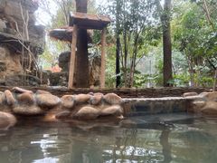 -深业半汤御泉庄温泉