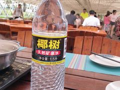 -渔家火锅·海鲜自助餐·演艺(亚龙湾天域酒店)