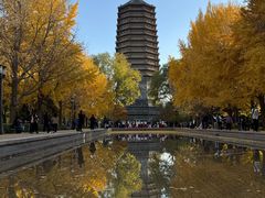 -玲珑塔公园