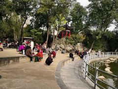 -莲湖公园