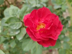 -人民公园(罗湖区)