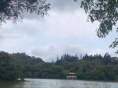 -深圳仙湖植物园