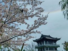 -无锡蠡湖国家湿地公园-蠡园
