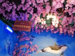 -白鹿仓冰雪海洋世界