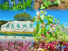 -国家植物园