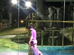 -清迈夜间动物园