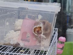 -萌兽医馆·眼科·异宠专科(三里屯店)
