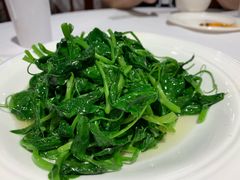 清炒豆尖儿-峨嵋酒家总店(车公庄店)
