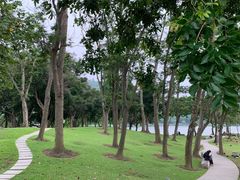 -顺峰山公园