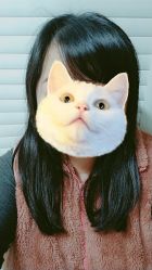 -LA BELLEZA倍丽莎美发沙龙