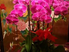 android_upload_pic-天伦王朝酒店·盛华瑄餐厅