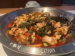 -海岛八号龙虾烧烤田鸡(蓝天路总店)
