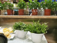 -烹然四季椰子鸡火锅(团结湖总店)