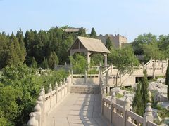 -原山国家森林公园