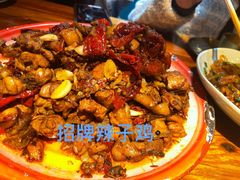 -柴窝堡22号辣子鸡·传承新疆菜