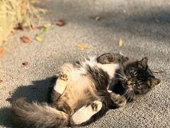 -云龙湖旅游景区