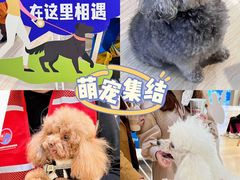 -金茂览秀城
