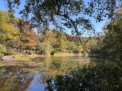 -灵谷景区