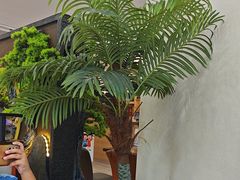 -紫藤园·天目湖大鱼头(南山竹海店)