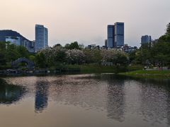 -四海公园(南山区)