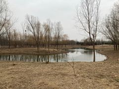 -东郊湿地公园