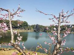 -桃花岛景观公园