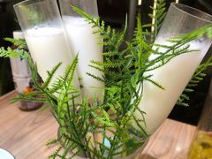 -探窝·竹笙椰子鸡(杨箕店)