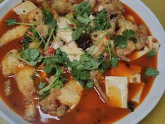 -煲来饱去冷水鱼