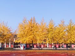 -辽宁大学(崇山校区)