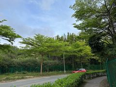 -东部华侨城